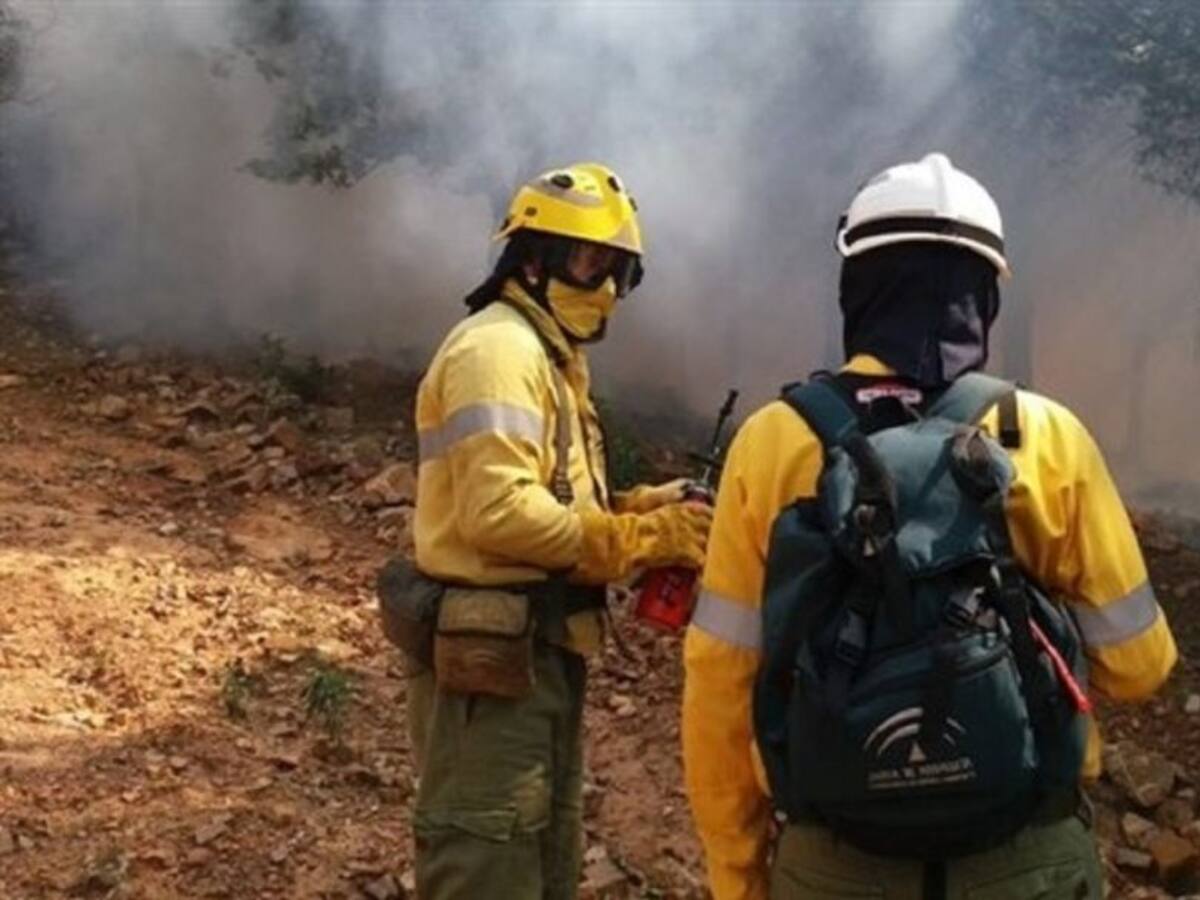 Estabilizado el incendio forestal en El Cuartón