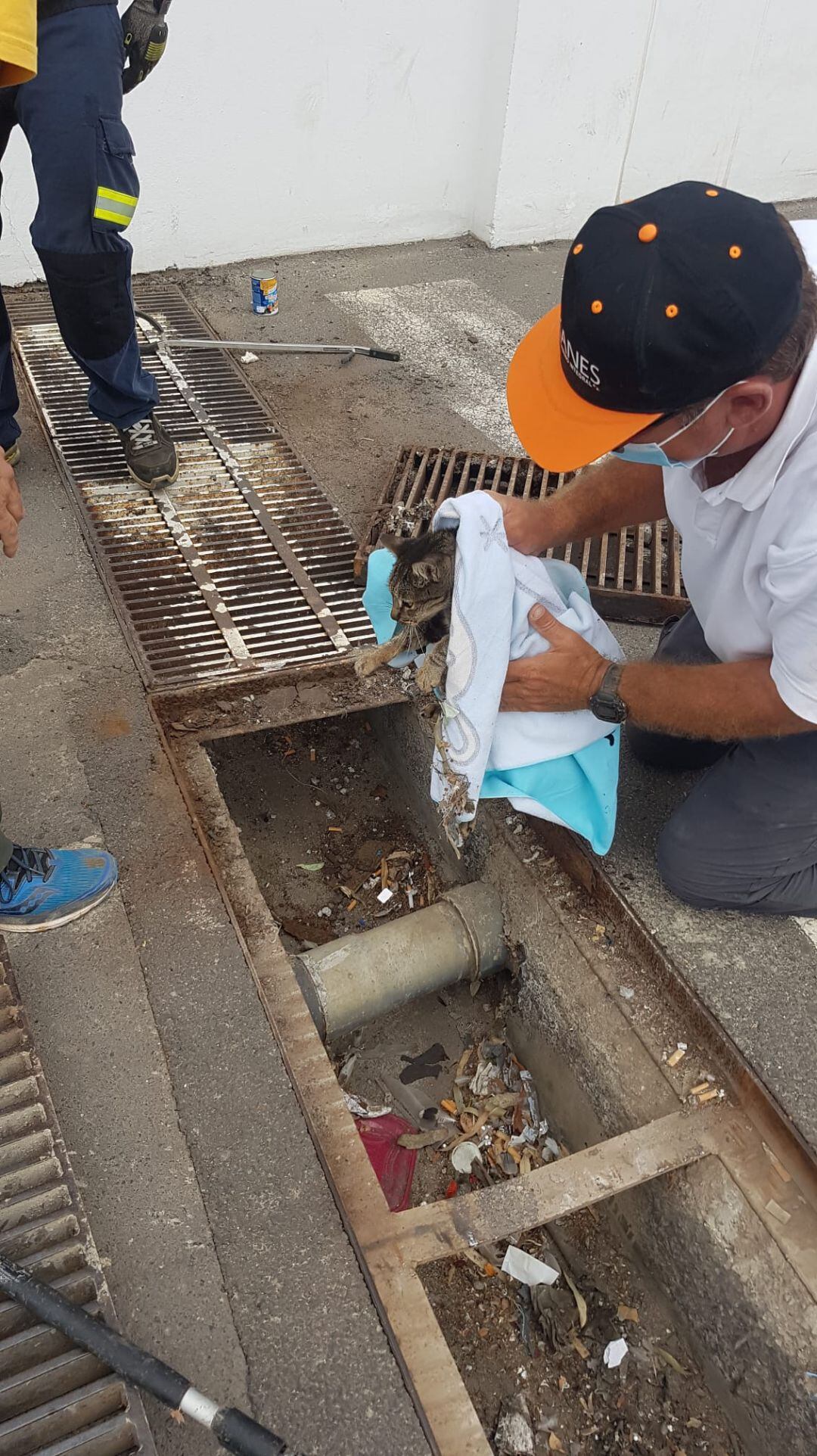 El animal pudo ser rescatado de la tubería en la que había quedado atrapado.