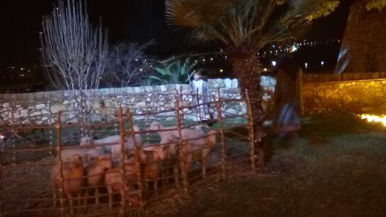 Tot el recorregut es fa seguint el passeig arqueològic.