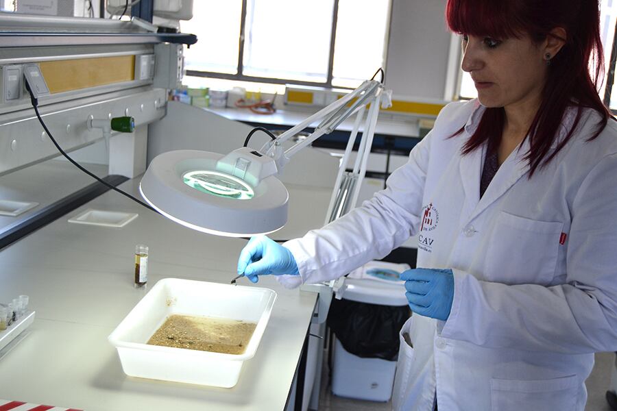 Laboratorio de investigación de la Universidad Católica de Ávila