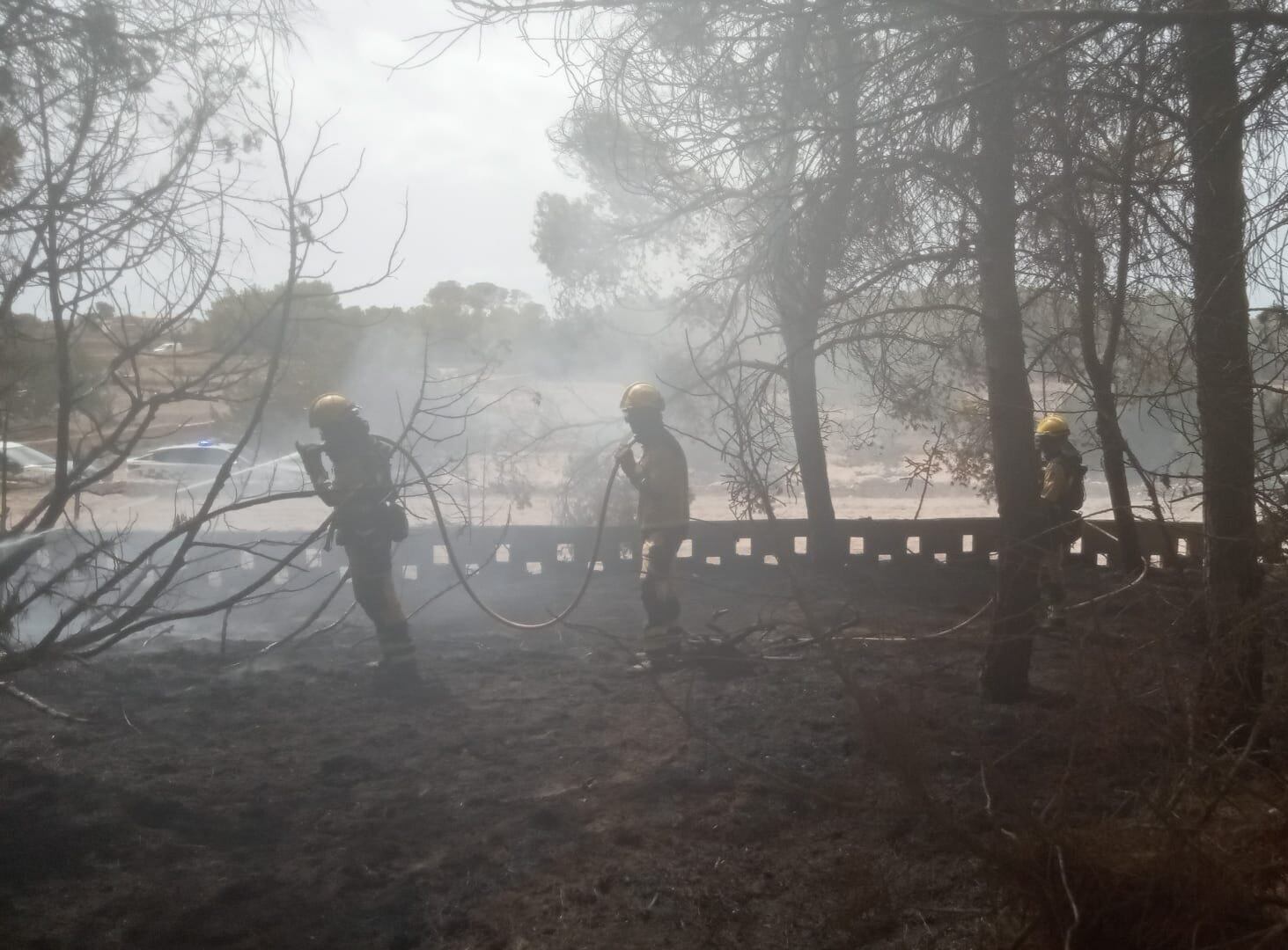 Imagen de la zona calcinada