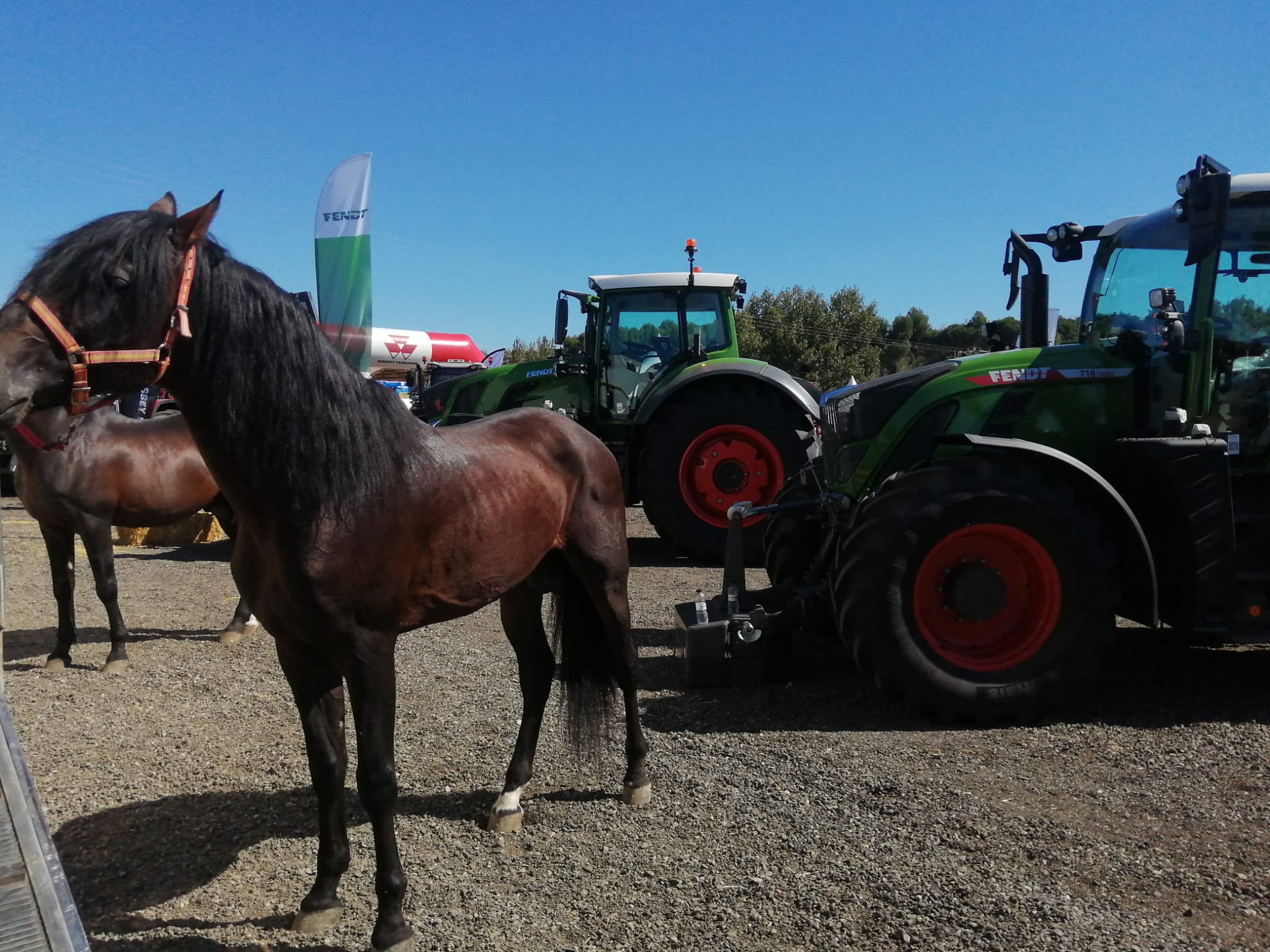 Animales y maquinaria agrícola, presentes en FEMOGA