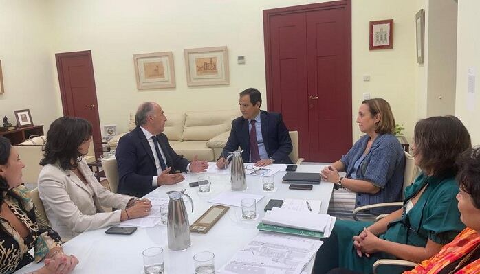 Landaluce durante la reunión de hoy