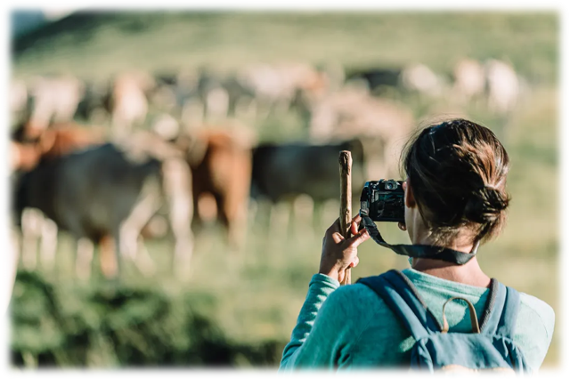 Las jornadas, organizadas por la empresa local Ojos Pirenaicos, contarán con una variada programación de actividades, exposiciones y experiencias entorno a la ganadería
