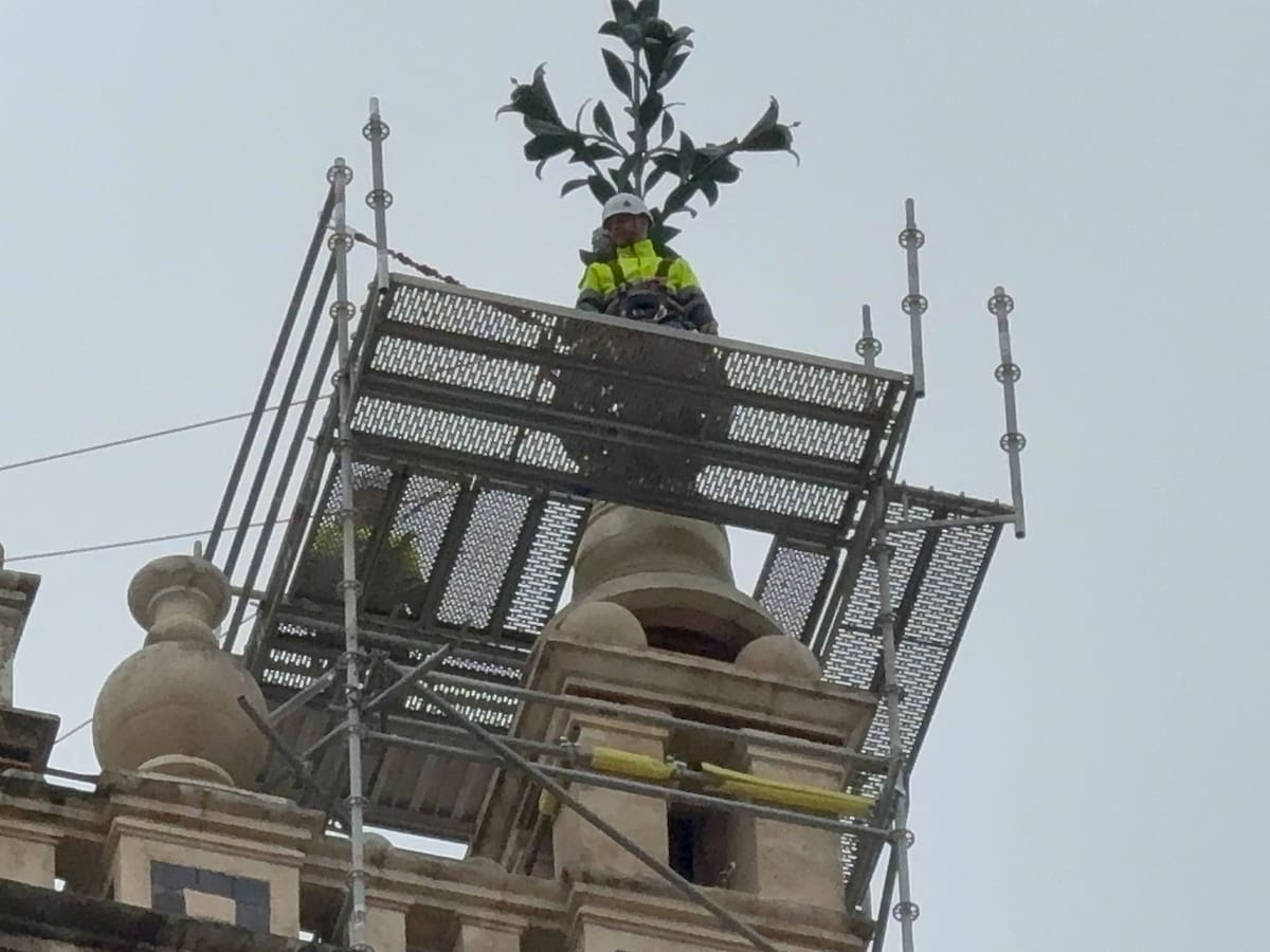 Las azucenas de la Giralda, preparadas para su bajada