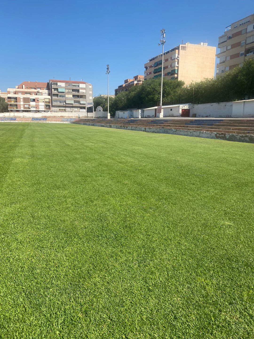 El césped natural del viejo Pepico Amat luce impecable para la pretemporada del Eldense