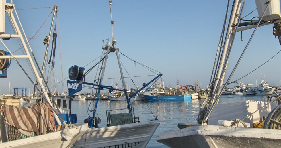 Embarcaciones en Caleta de Vélez