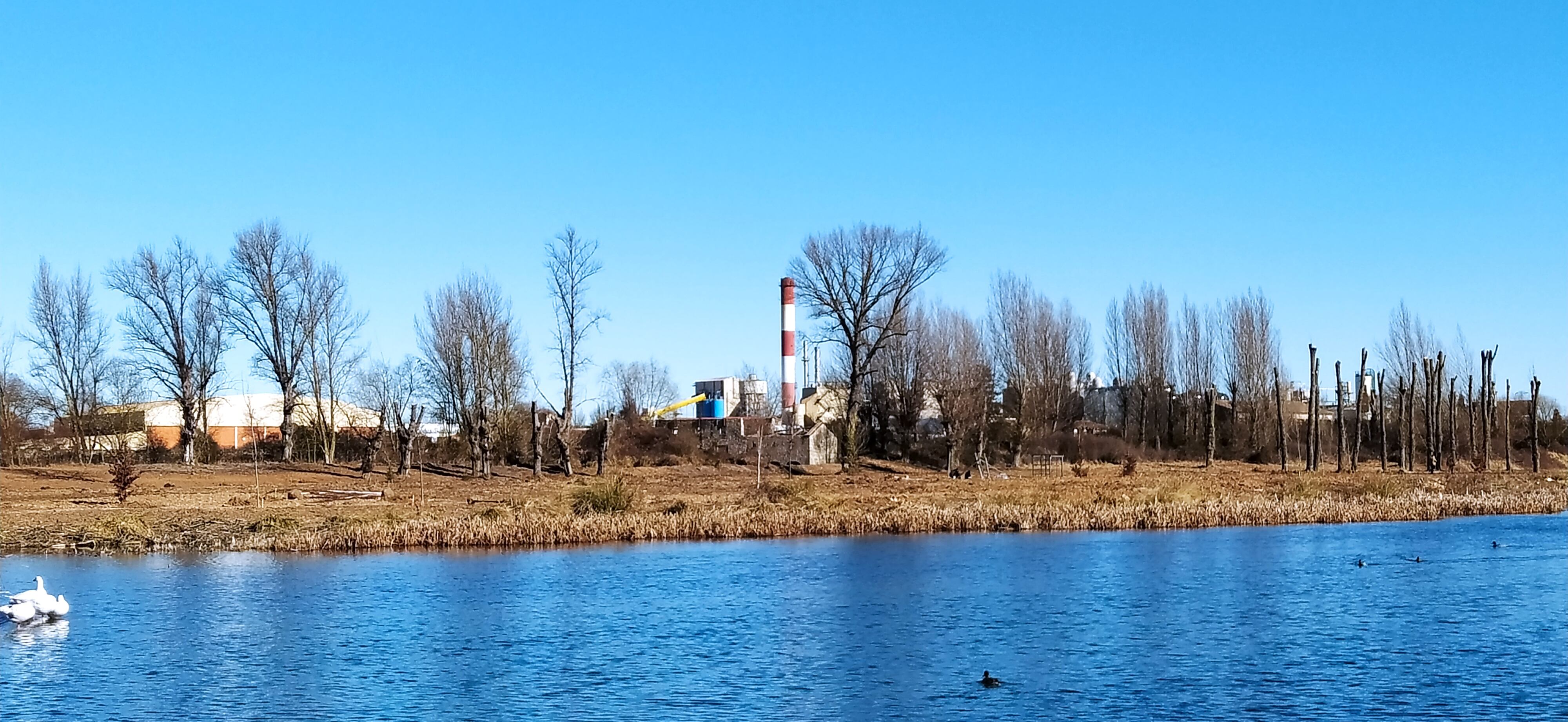 La margen norte de Fuente Prior ha sido ya repoblada y acondicionada para el paseo