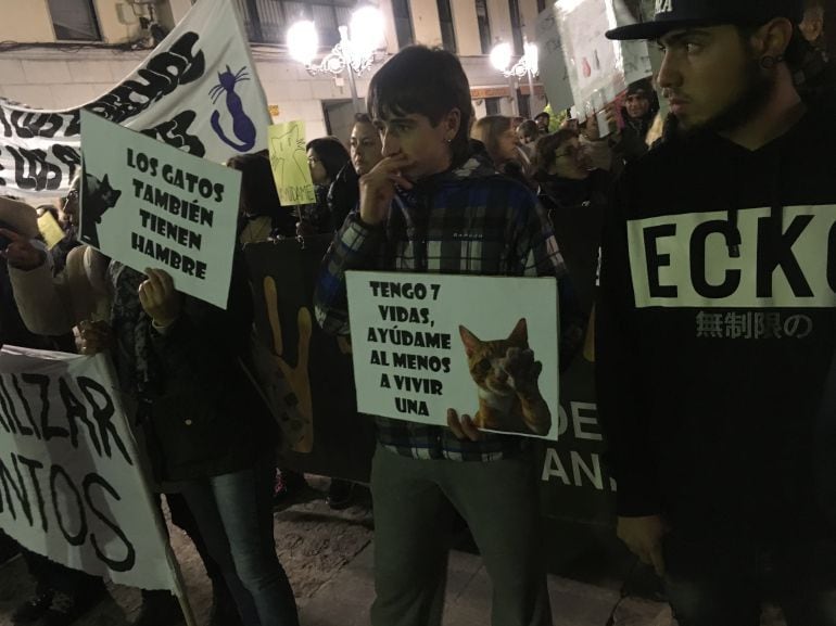 Concentración en la plaza de la Constitución de Elda en defensa de los animales 