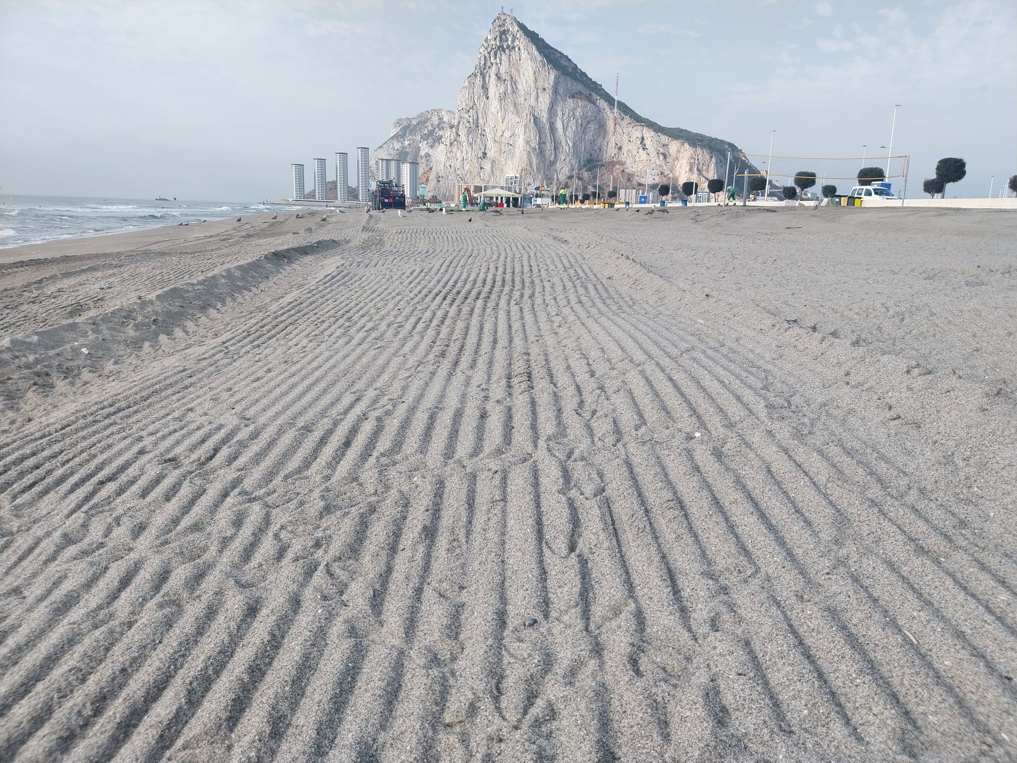 Limpieza de la playa esta mañana
