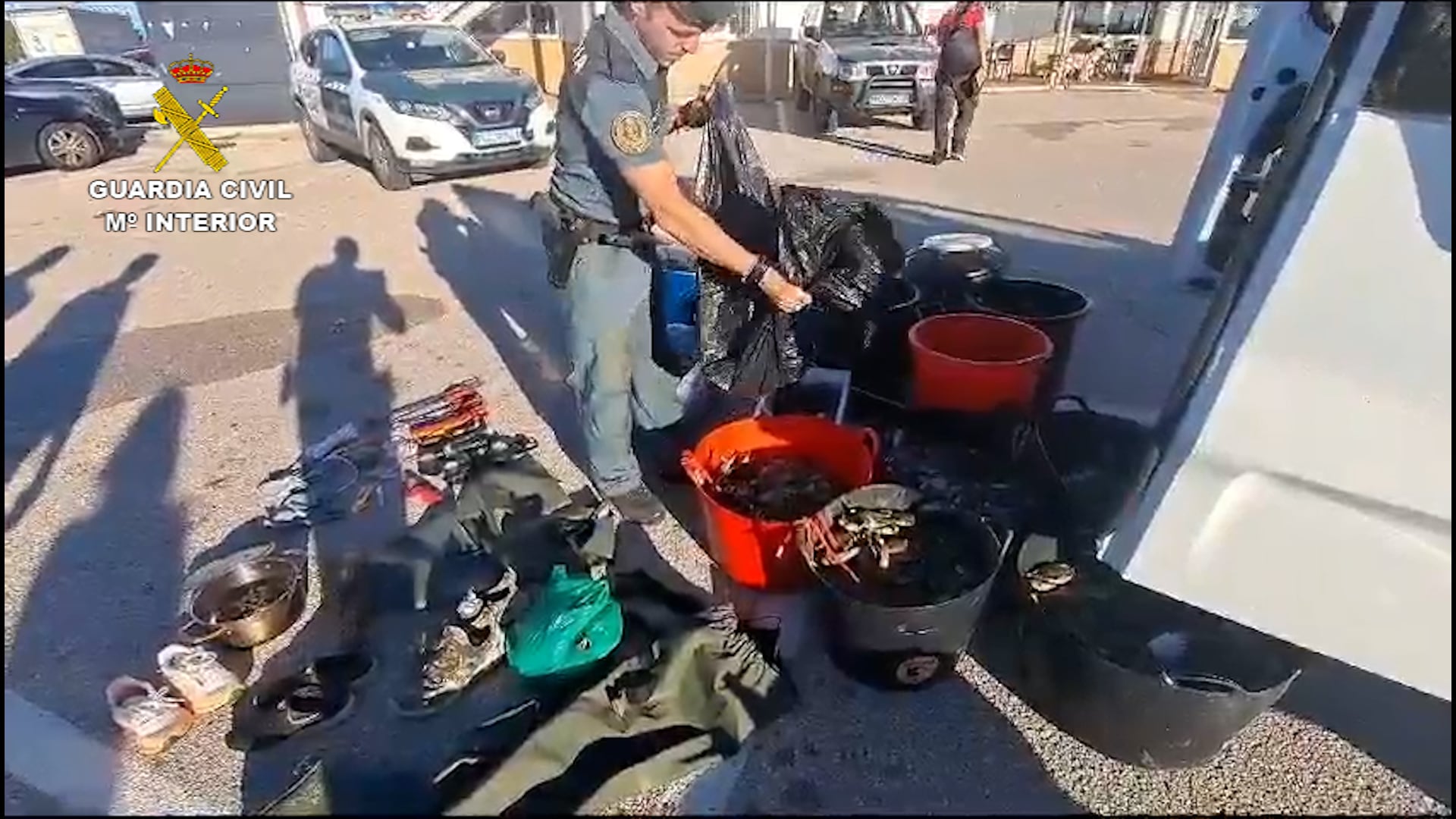 La Guardia Civil interviene 300 kilos de cangrejo azul que eran transportados sin las mínimas garantías de seguridad en salud pública