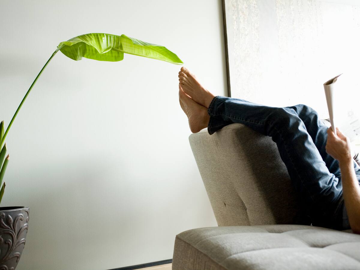 El verano que viene | Juan Evaristo Valls