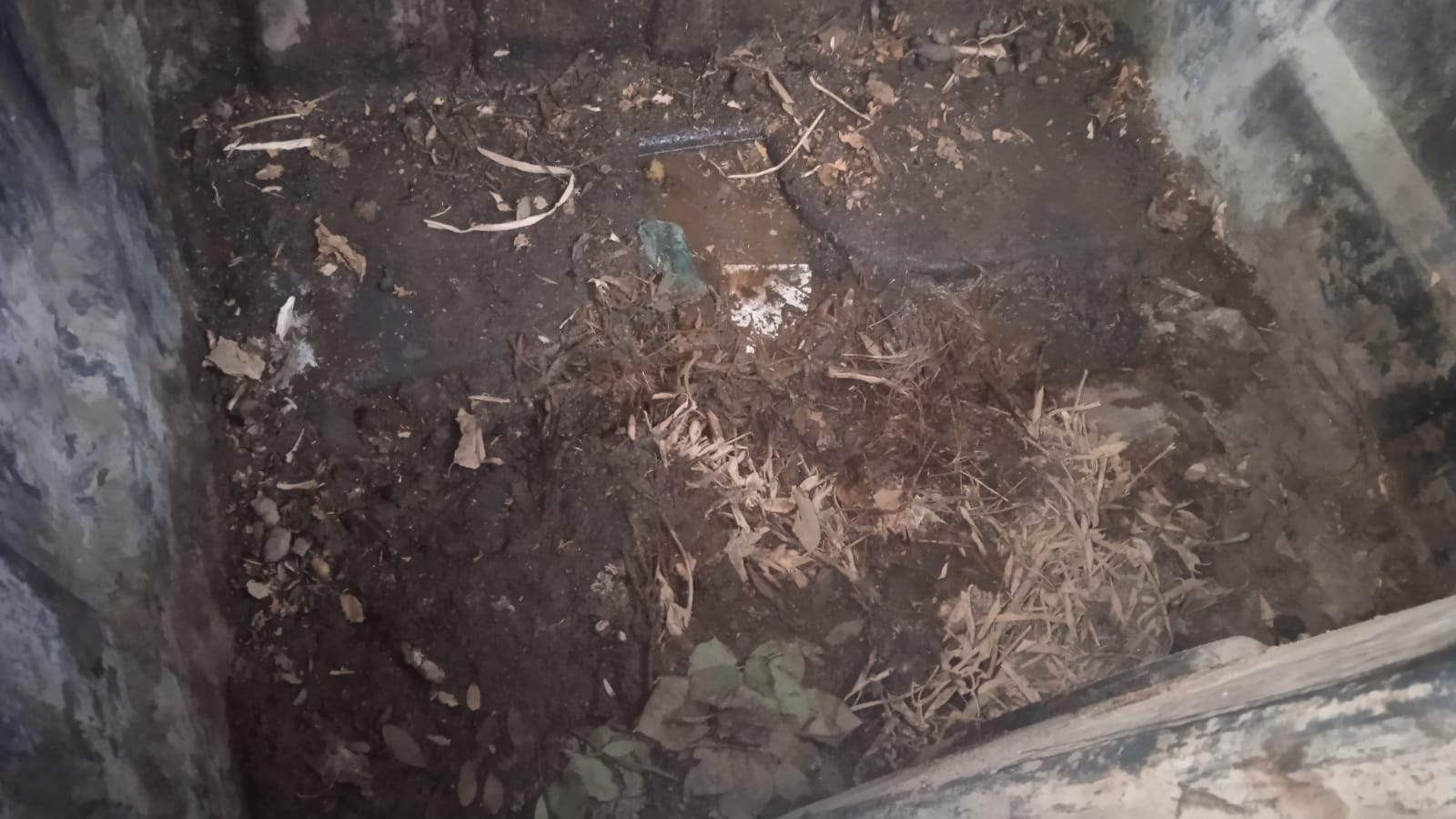 Interior de los contenedores de Bobadilla del Campo