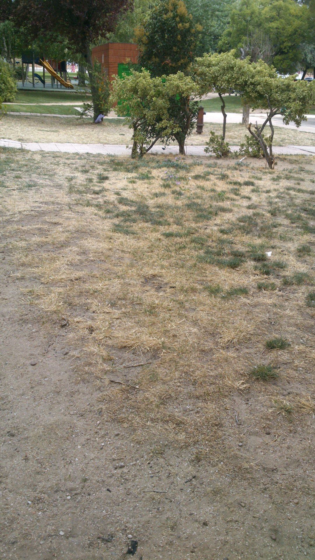 Parque en el Paseo del Otero de Palencia