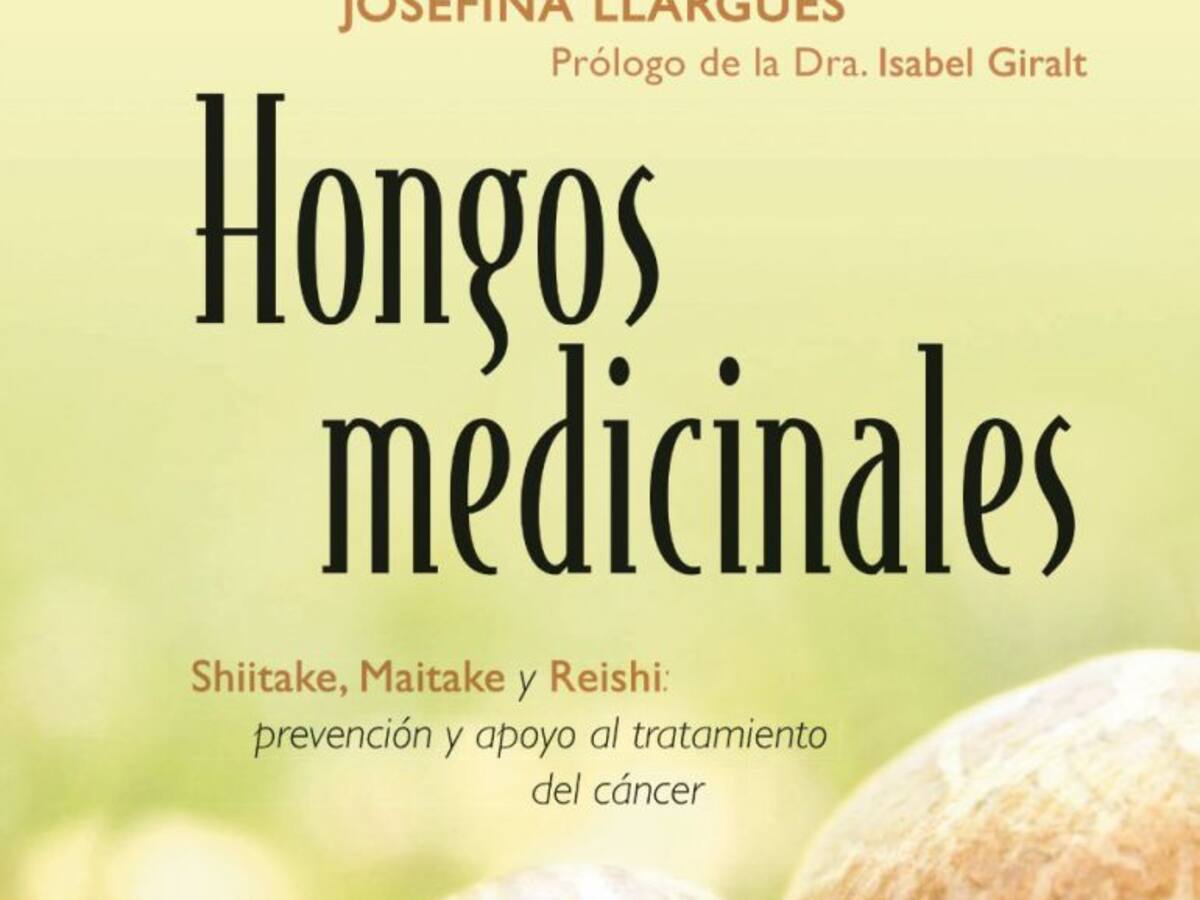 Les propietats medicinals dels bolets
