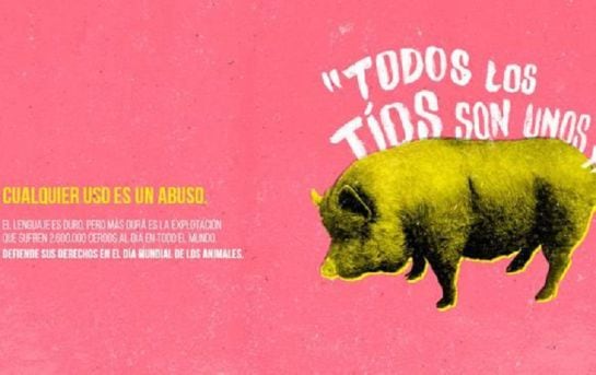 Campaña de Vegan Fest de Alicante retirada por sexista