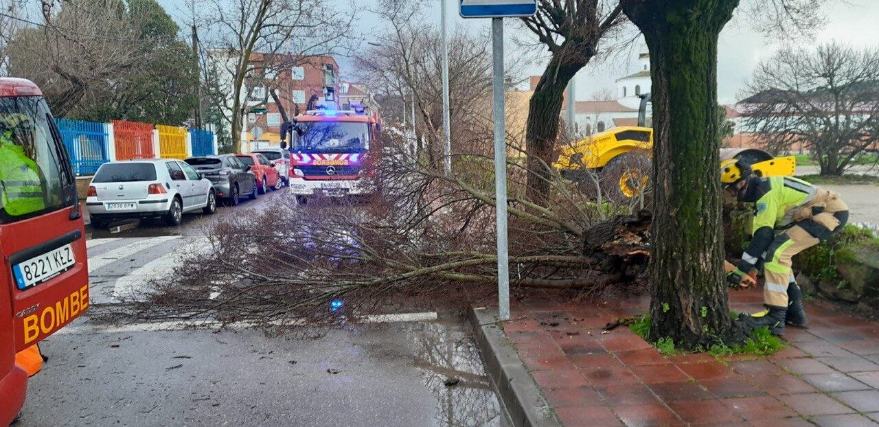 Actuaciones del SEPEI de la provincia de Cáceres el jueves, 5 de febrero