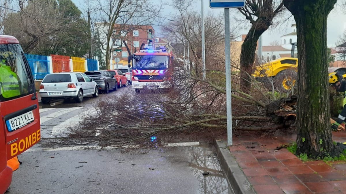 El SEPEI atiende 40 incidencias en la provincia de Cáceres en una jornada marcada por el temporal