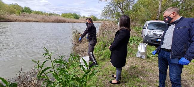 Tratamiento de mosquitos