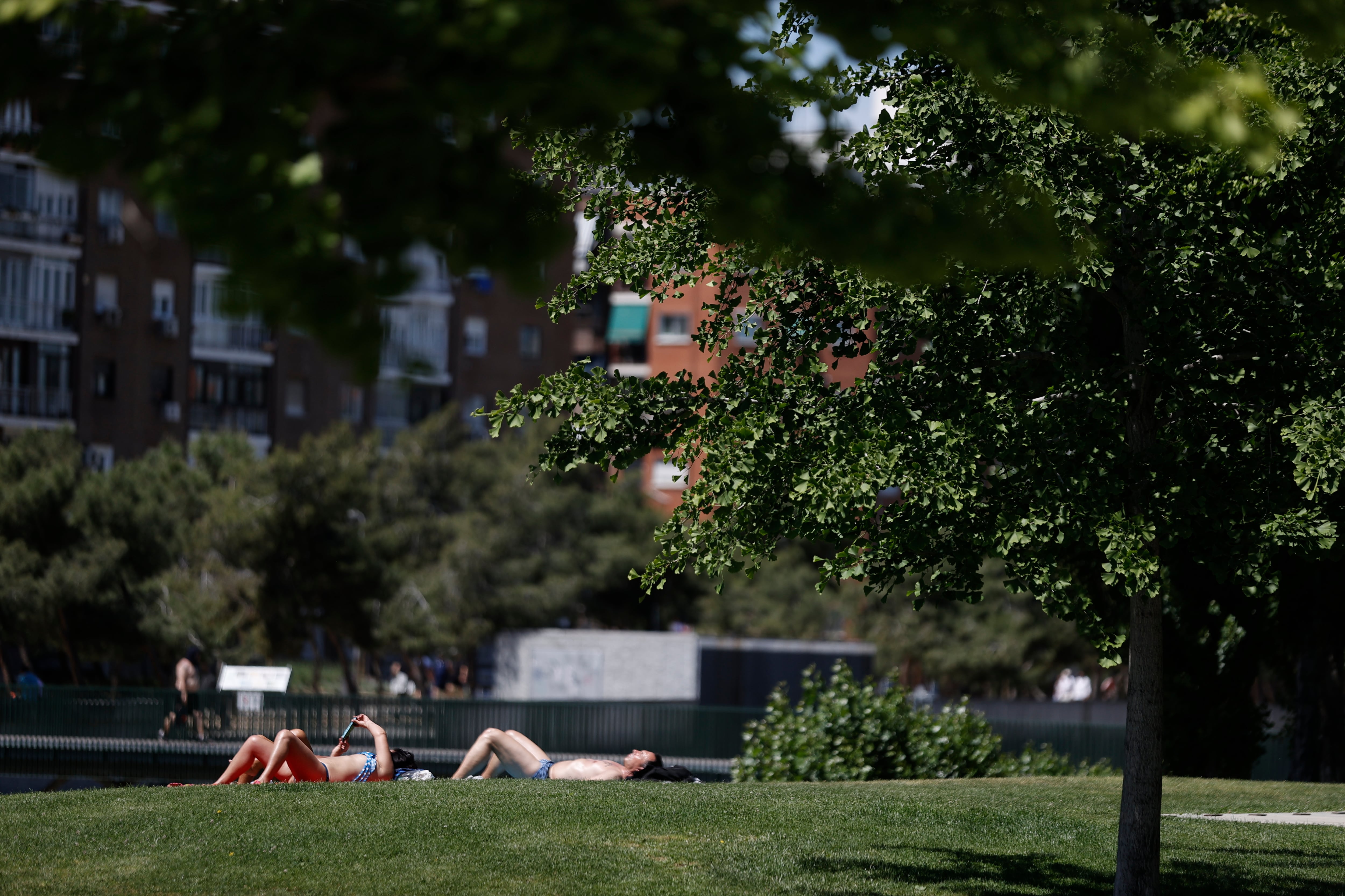 Dos personas toman el sol en un parque de Madrid, este martes