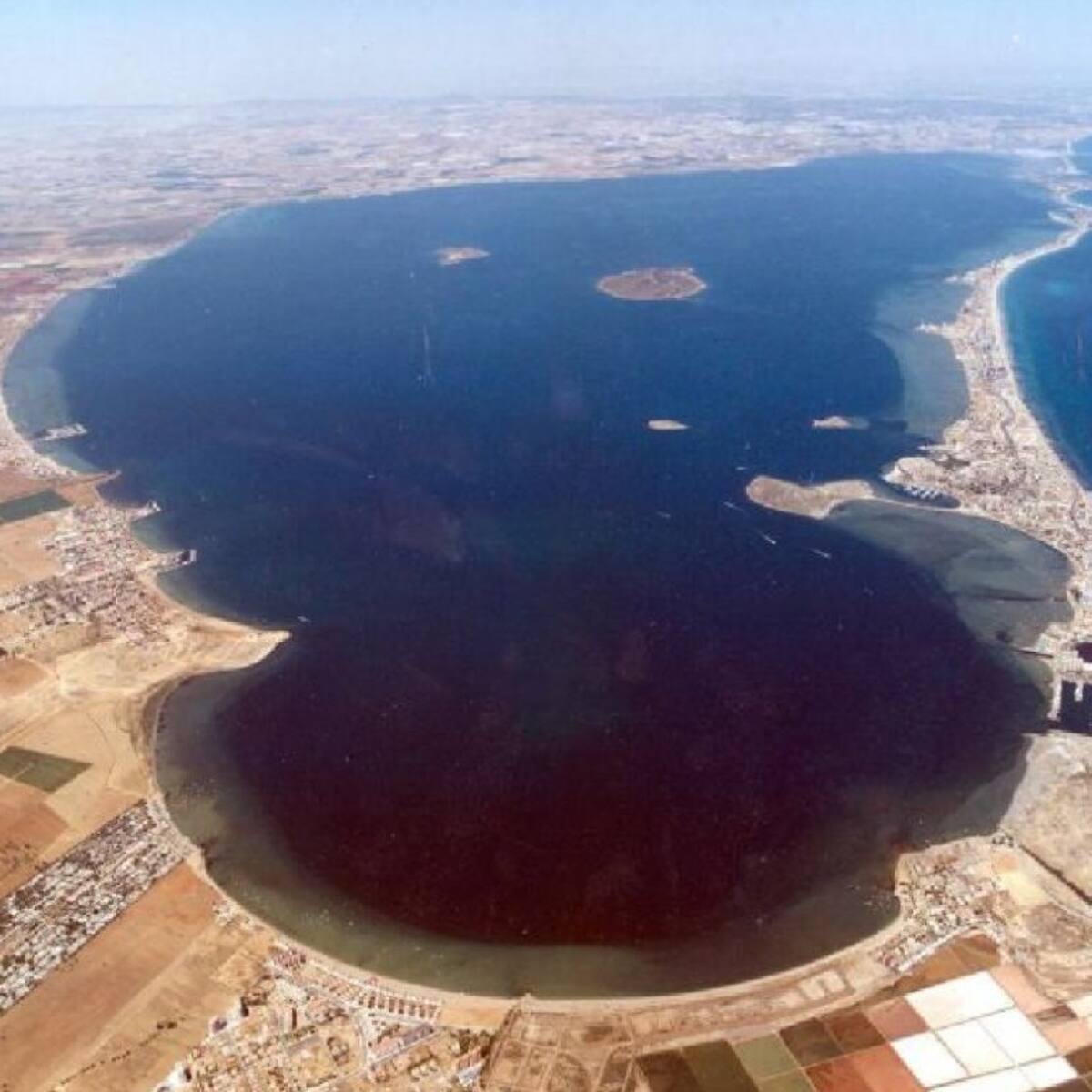 SEO/BirdLife reclama al MITECO la declaración del Mar Menor como primer hábitat en peligro de desaparición