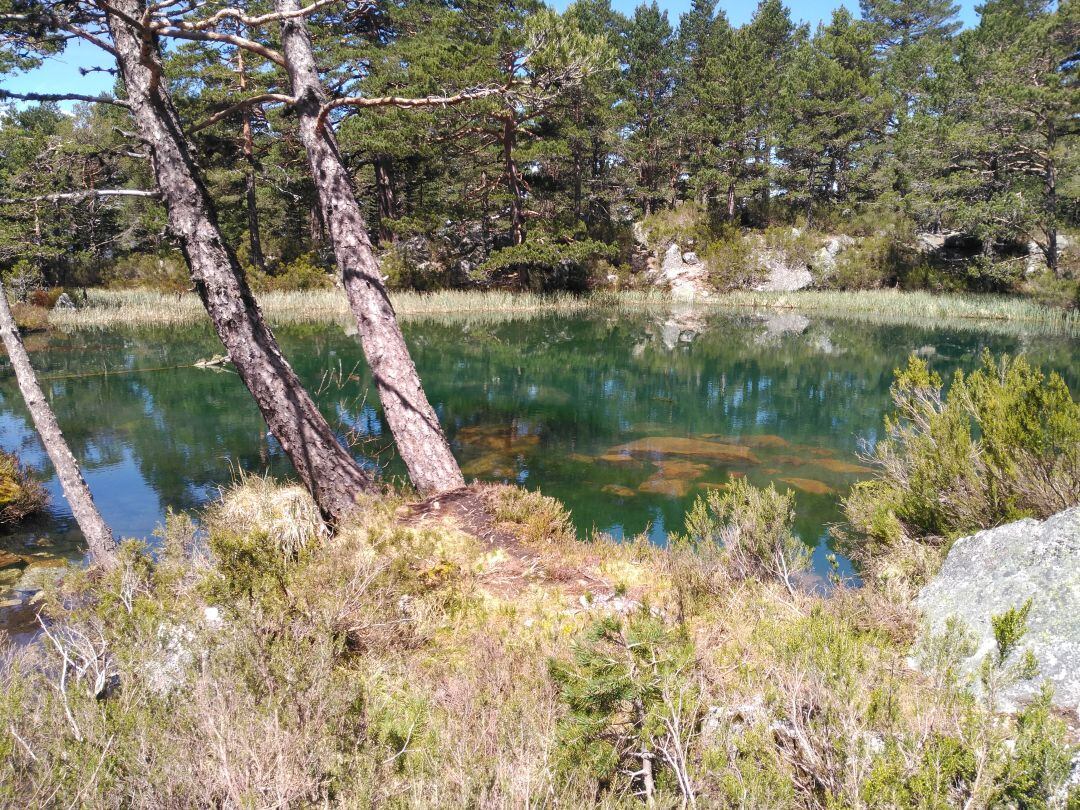 Laguna Verde de Vinuesa.