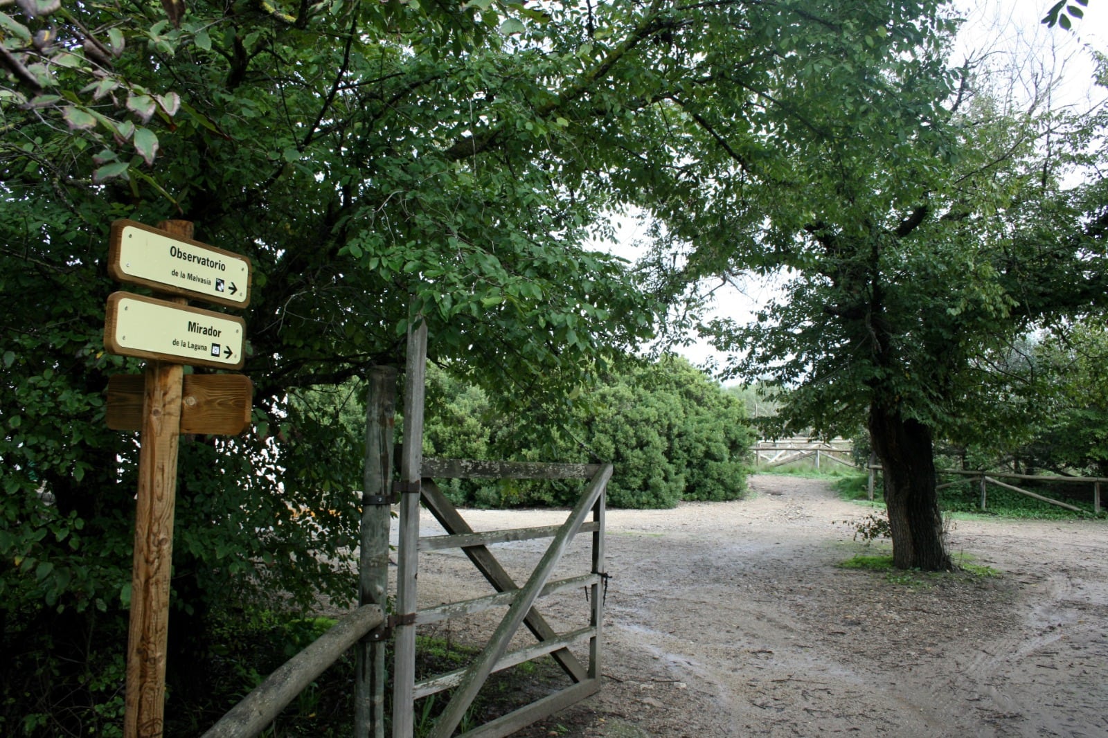 Recorrido por la Laguna de Medina