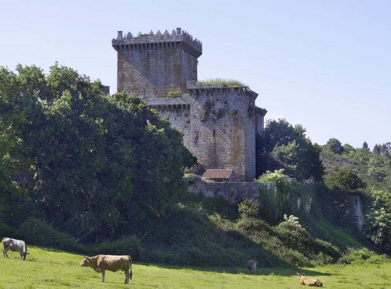 Castillo de Pambre, Palas de Rei