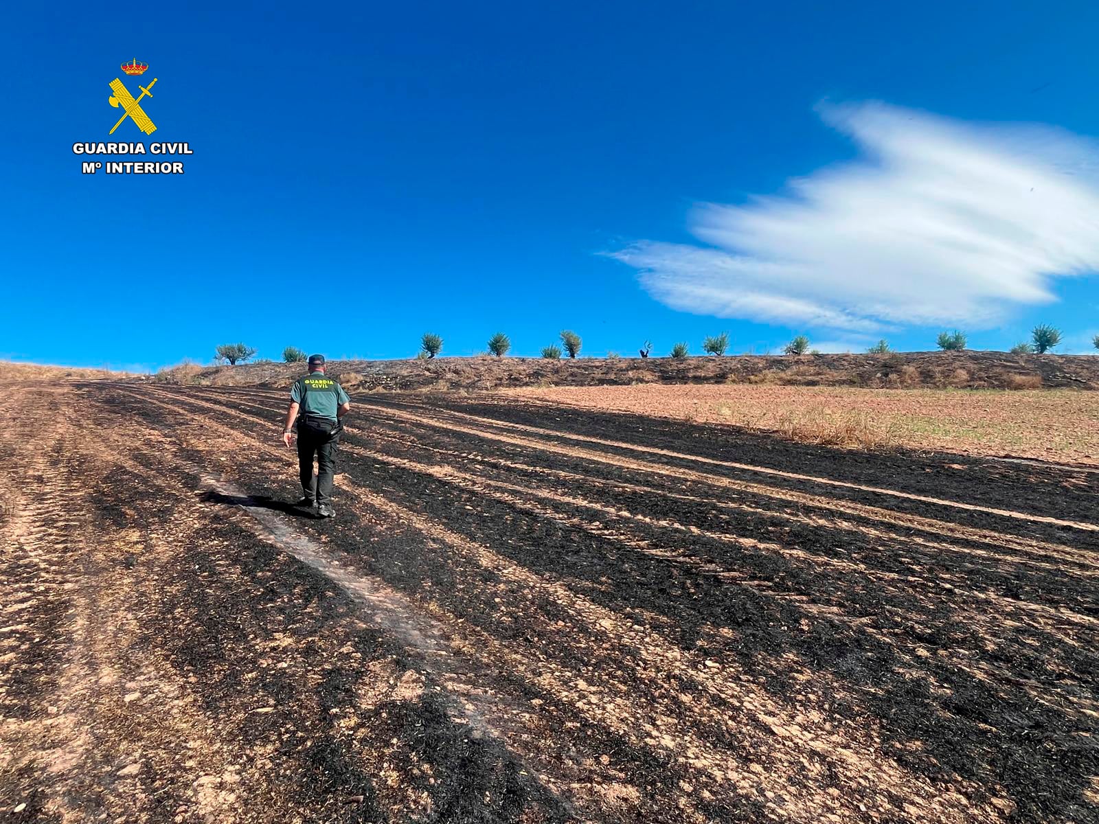Un cigarro mal apagado, origen del incendio registrado en una parcela de cereal de Ribafrecha