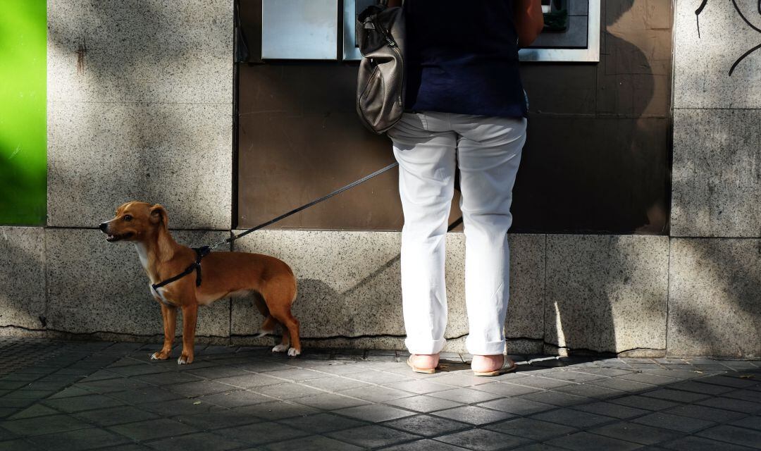 Los robos se produjeron en Getafe, Leganés y varios distritos madrileños.