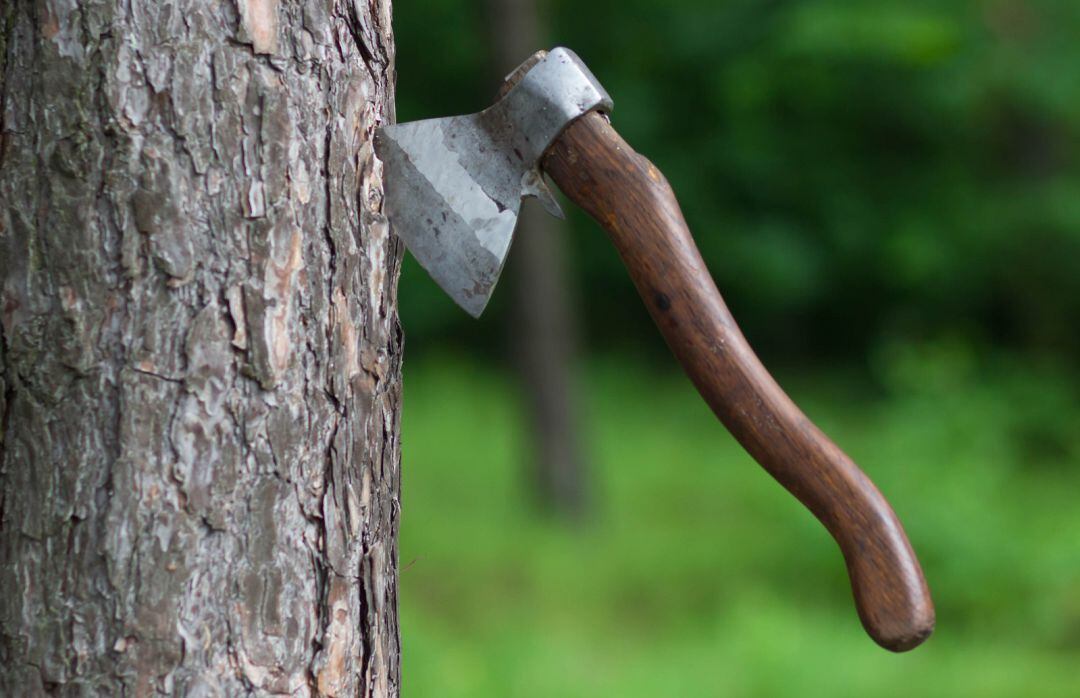 Un hombre ha muerto en la provincia de Jaén tras caerle un arbol encima