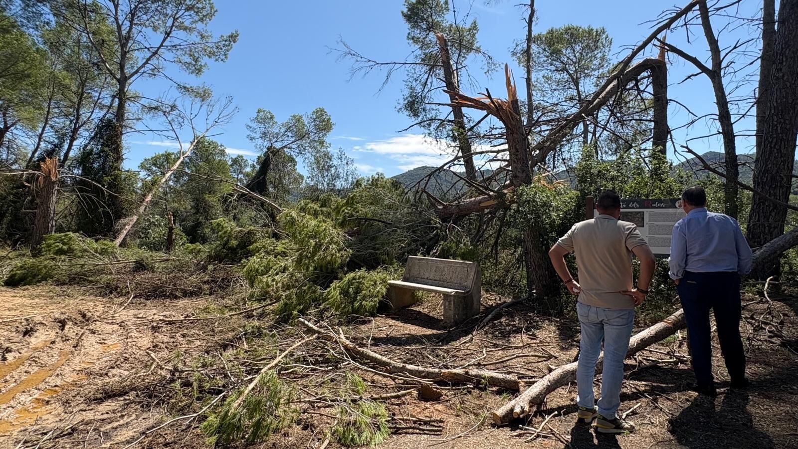 Valderrama en Barxeta. Fuente: Ajuntament de Xàtiva