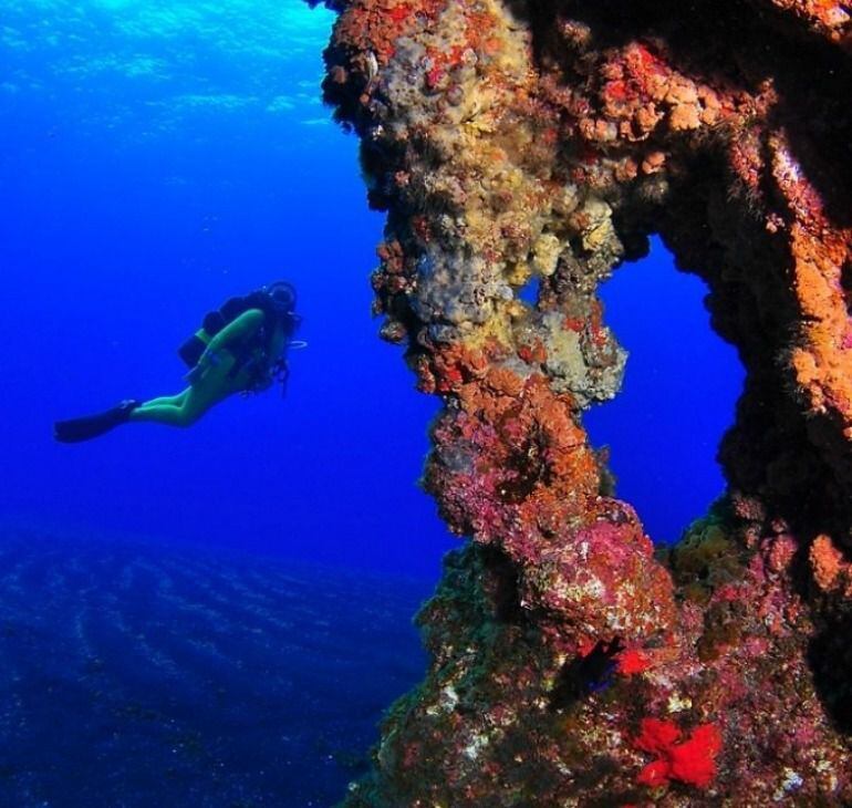 Fondos marinos de El Hierro