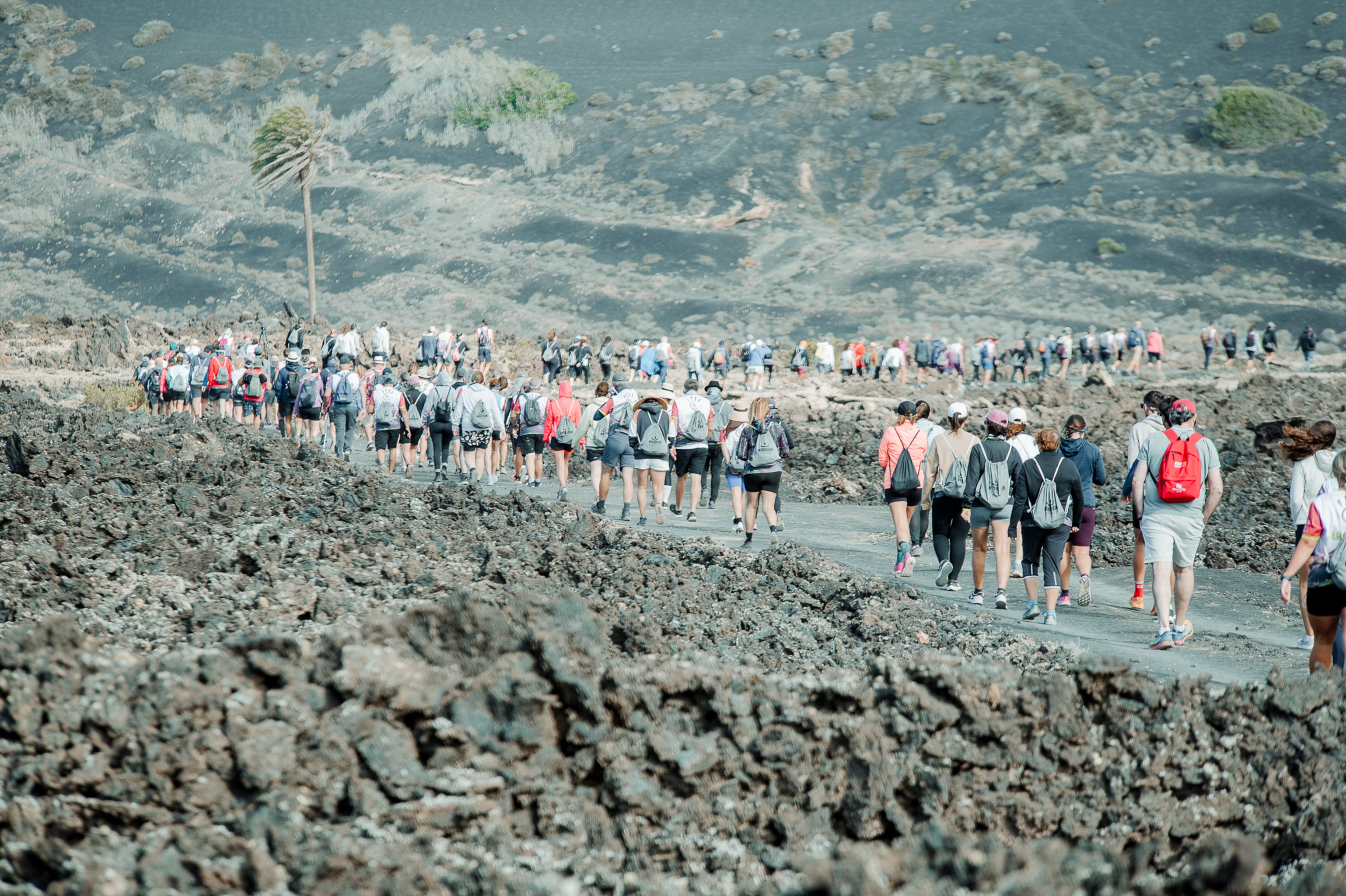 Participantes en la Wine Run 2024 de Lanzarote.