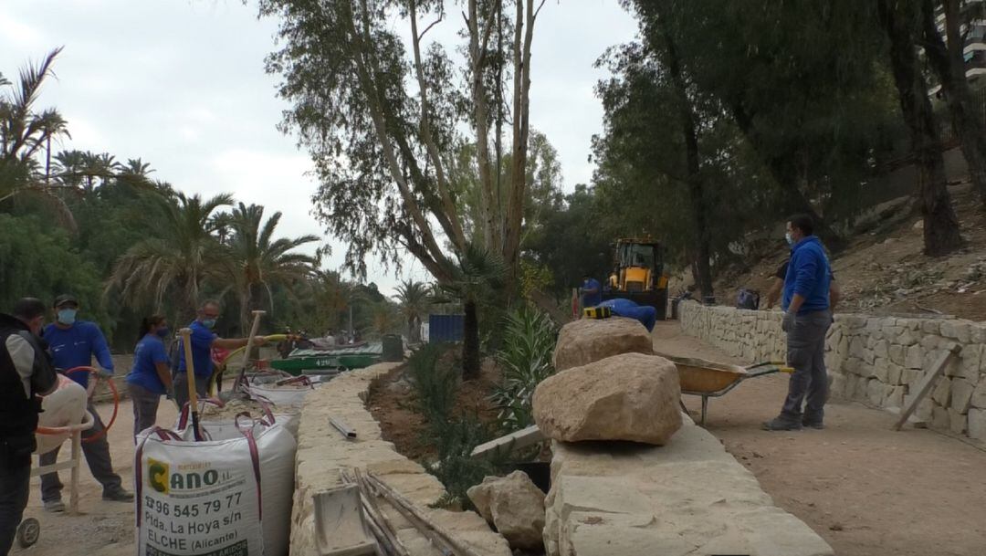 Regeneración de la ladera del Vinalopó