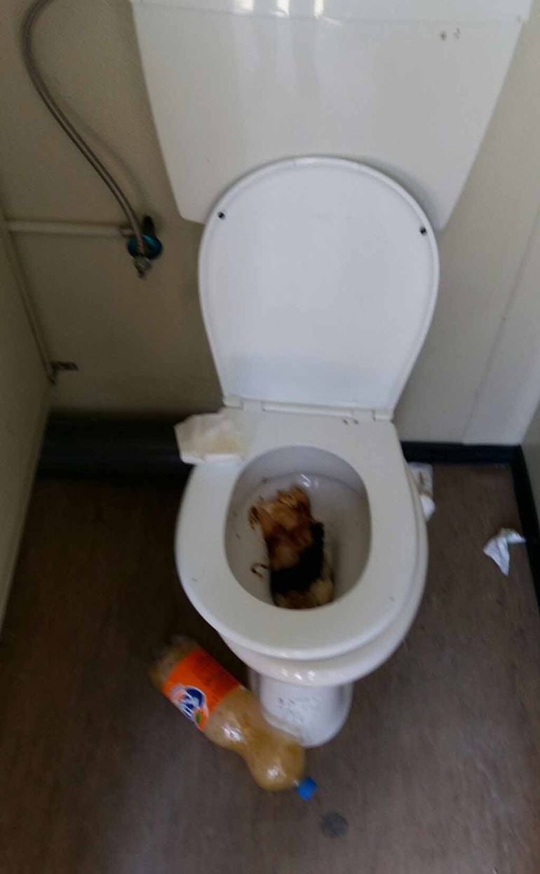 El Ayuntamiento solicita la colaboración ciudadana para denunciar estos hechos.