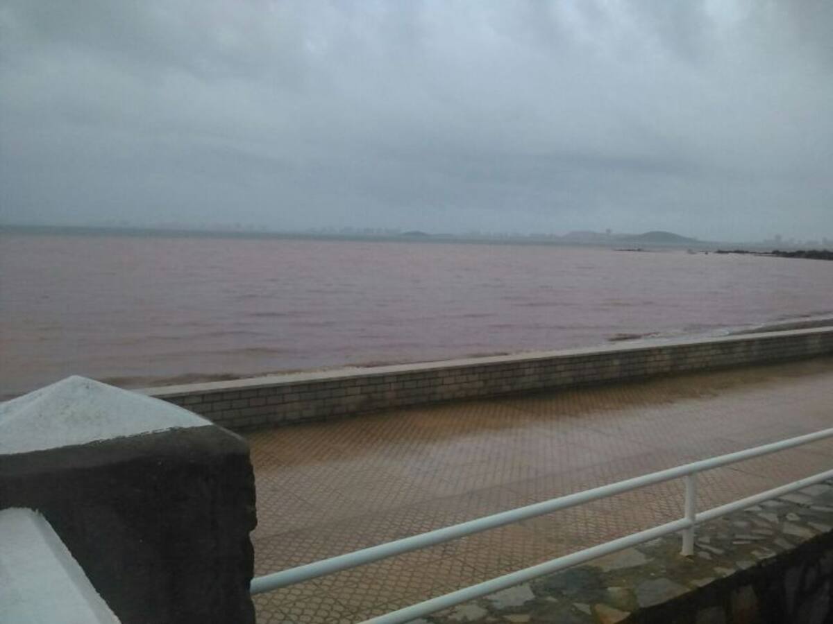 Ángel Monedero: "Las declaraciones de la Consejera de Agricultura son falaces, imprudentes y temerarias"