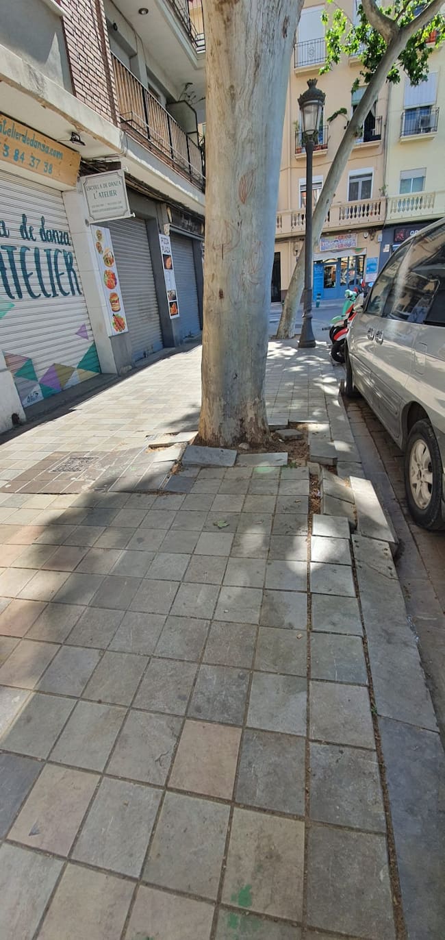 La Asociación Vecinal de Patraix pide información sobre la tala de árboles en la zona