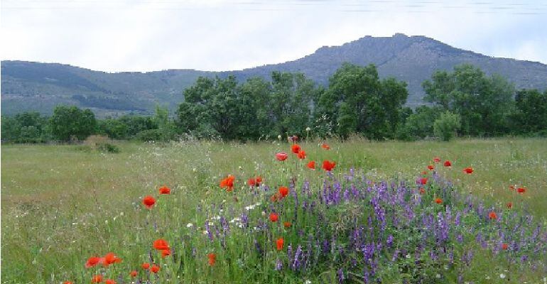 Sierra de Guadarrama, declarado Parque Nacional