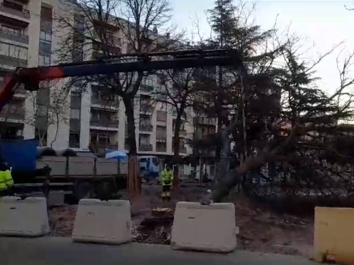 Las máquinas eliminan los árboles de los Jardines de Don Diego que estaban previstos