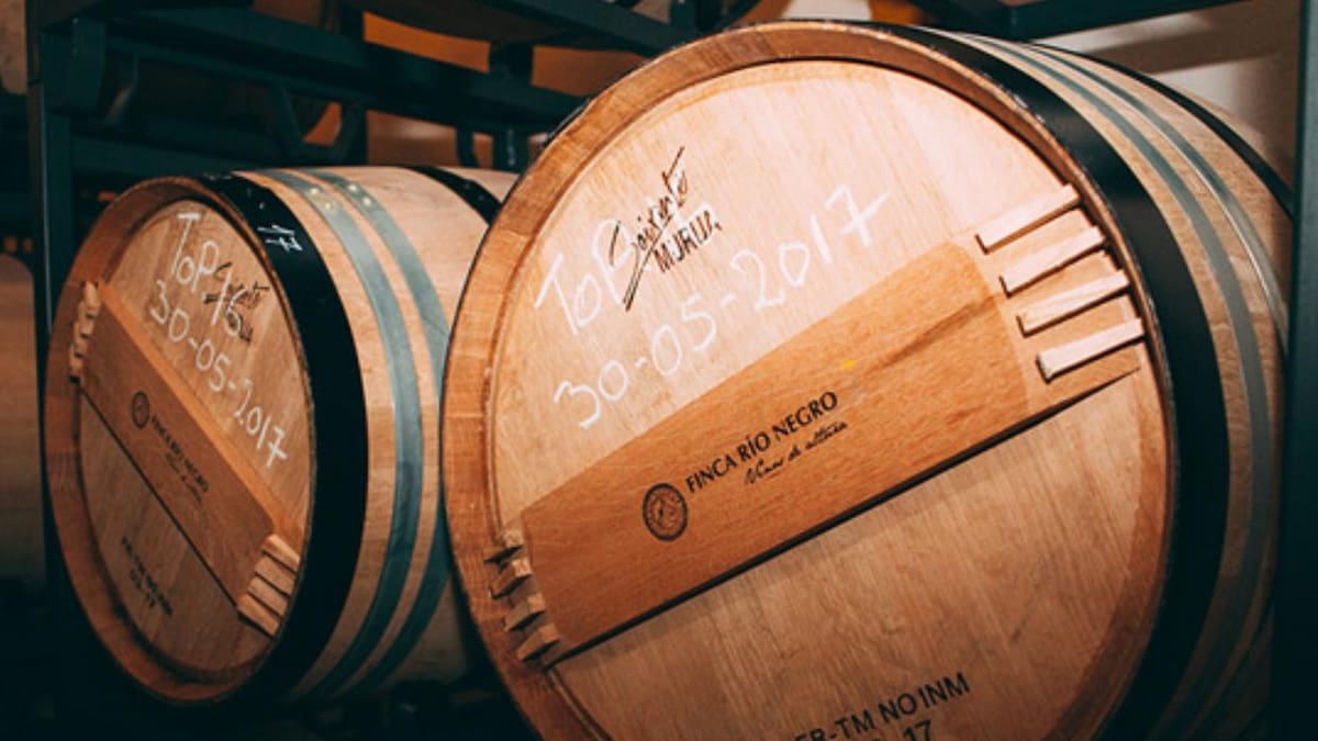 Vinos Río Negro ya tiene Denominación de Origen Protegida