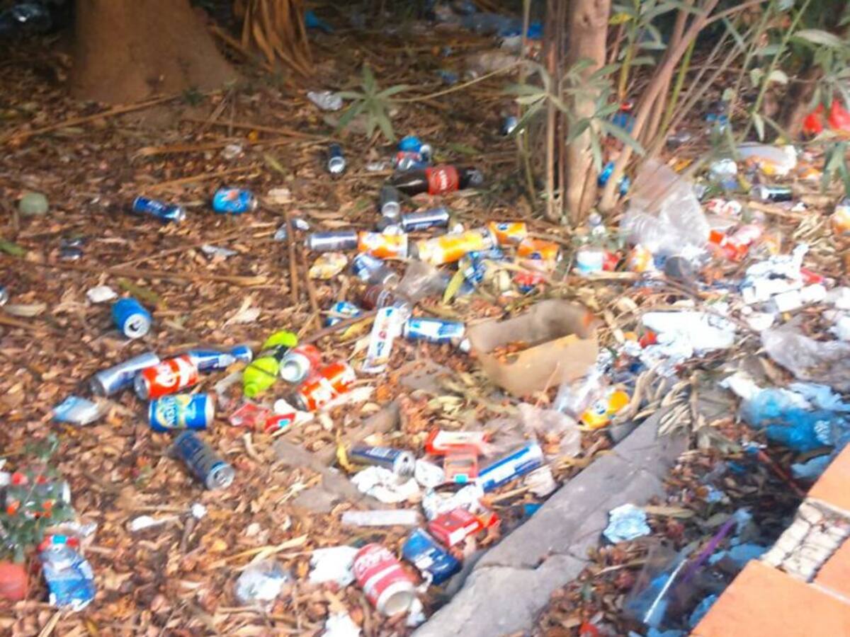 Usted dirá, lunes 15 de agosto