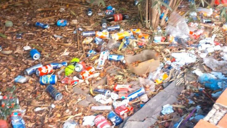 Usted dirá, lunes 15 de agosto