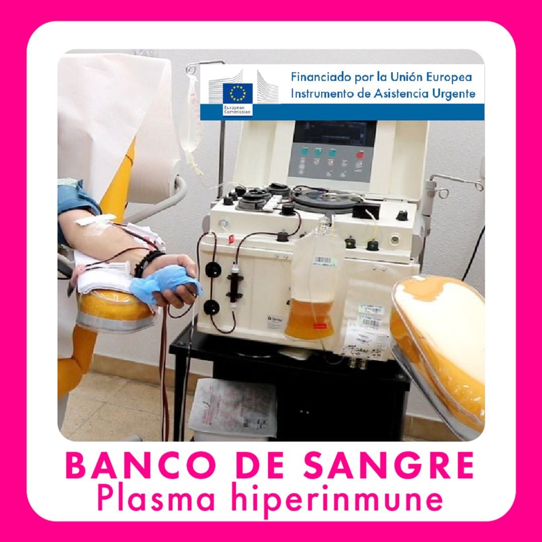 Donación de plasma por aféresis