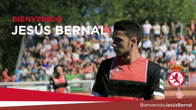 Jesús Bernal jugará tres temporadas en la Cultural 