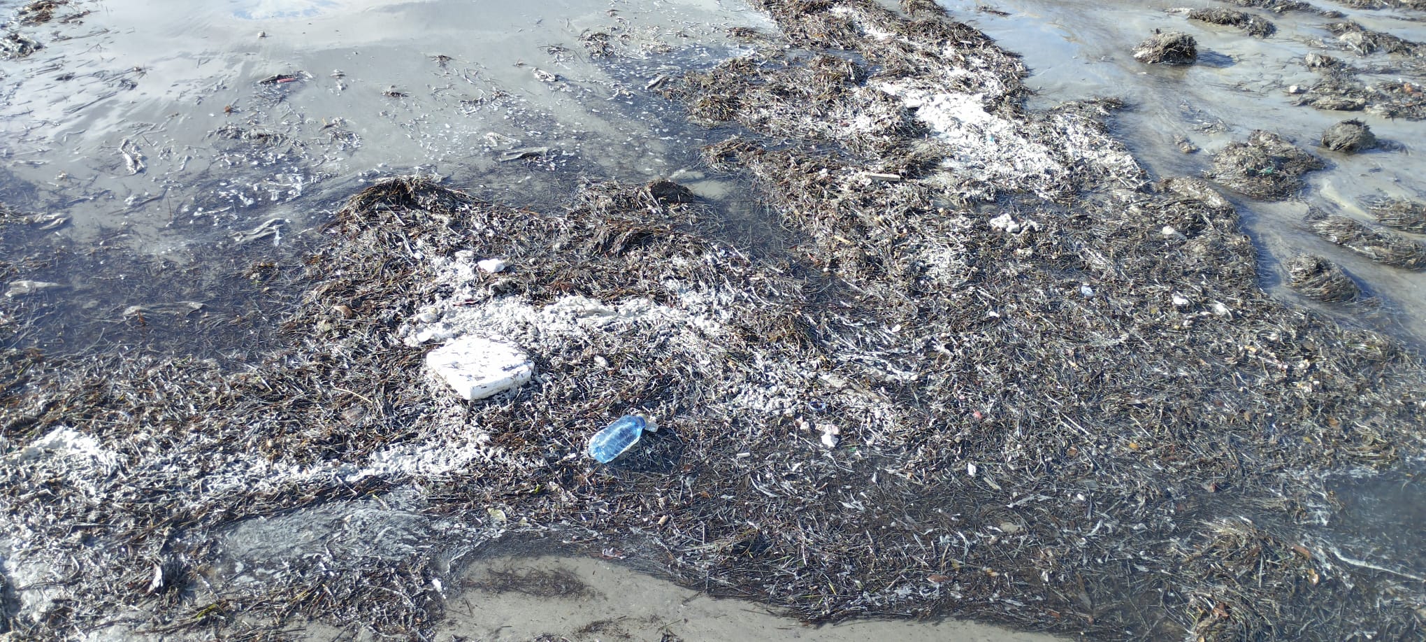 Vertidos de aguas residuales fotografiados por vecinos en la bahía de Alicante