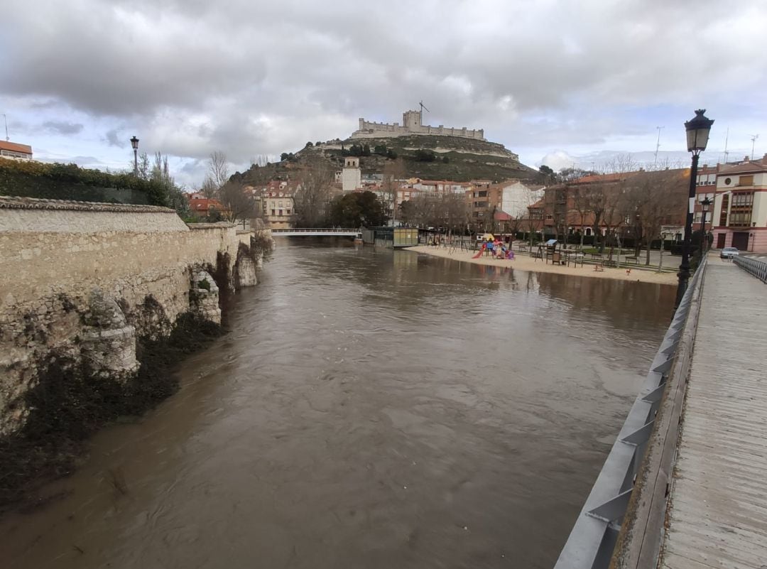 El cauce del río Duratón a su paso por Peñafiel en la mañana de este jueves 11 de febrero.