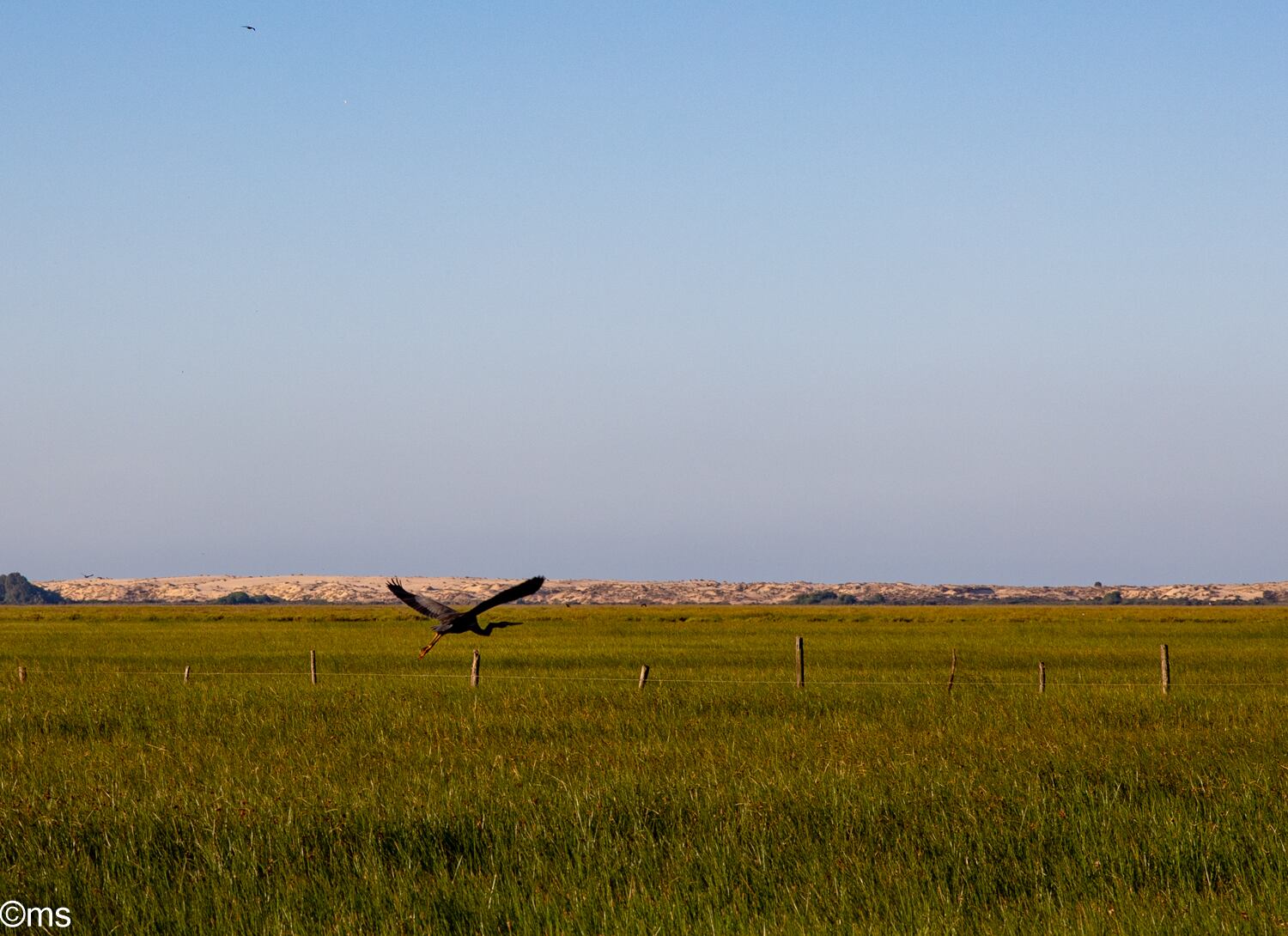 Espacio Natural de Doñana (mayo de 2025)