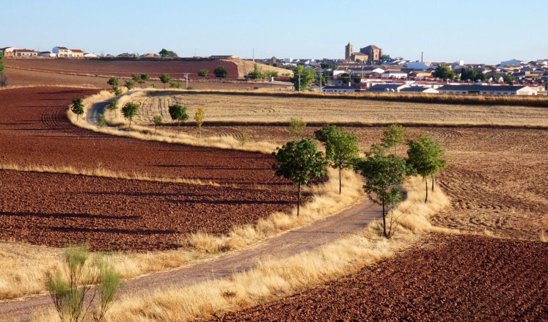 Imagen de archivo de la localidad ciudadrealeña de Torre de Juan Abad 