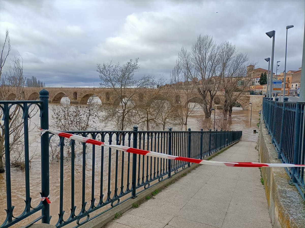 Desciende levemente el caudal del Duero a su paso por Zamora y Toro